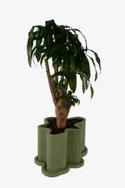 روبرت بلانتر